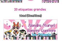 Chicas Superpoderosas Escolar