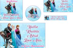 pack-escolar-1-frozen-12