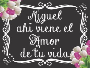 Matrimonio Boda Despedida Bar