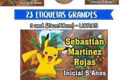 Pokémon Escolar