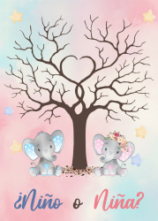 Revelación de Género y Sexo