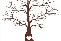 457369430_1047180527407362_7727506853304543293_n_1047180517407363