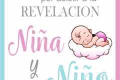 Cuadro-revelacion-27