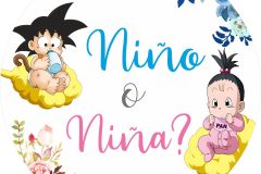 Cuadro-revelacion-44