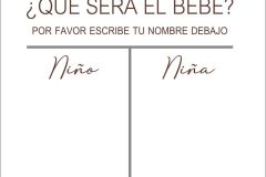 Cuadro-revelacion-57