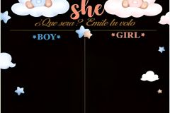 Cuadro-revelacion-74