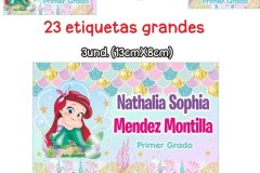 Sirenita Escolar